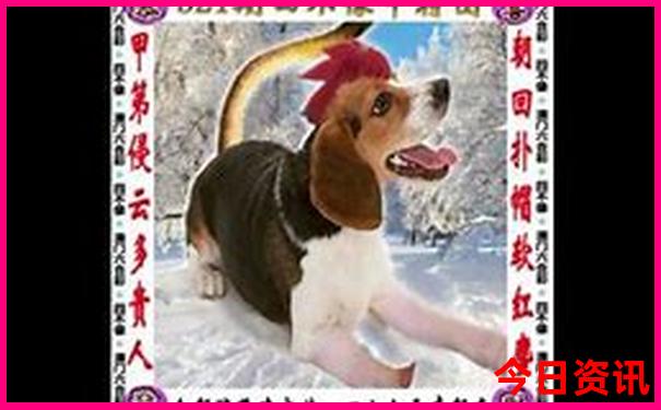 精准澳门平特一肖